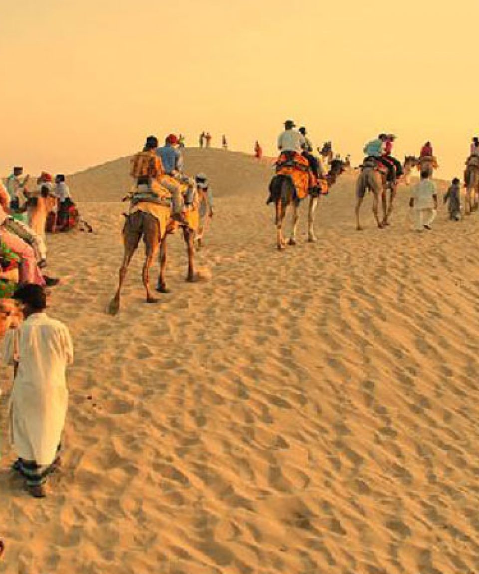 camel safari2