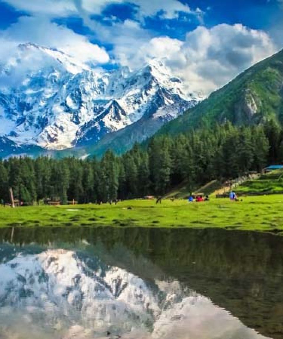 fairy meadows